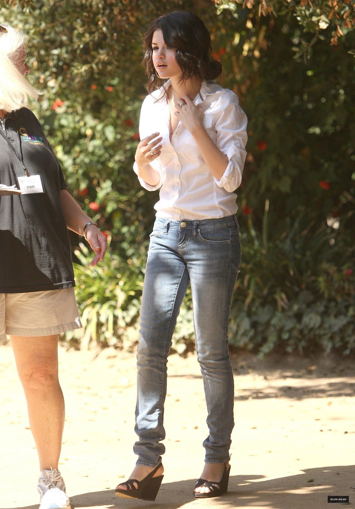 47.jpg
