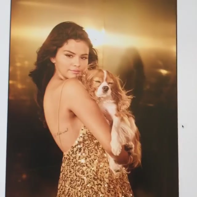 PANTENE_2019_Screen_Captures-07.jpg