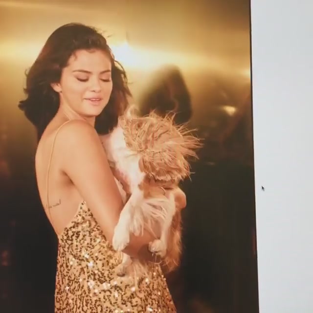 PANTENE_2019_Screen_Captures-09.jpg