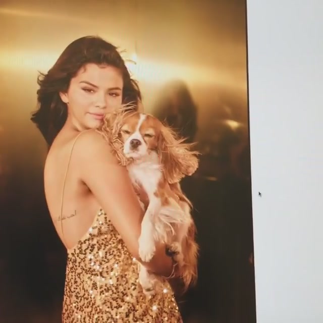 PANTENE_2019_Screen_Captures-10.jpg