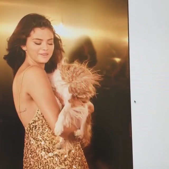 PANTENE_2019_Screen_Captures-11.jpg