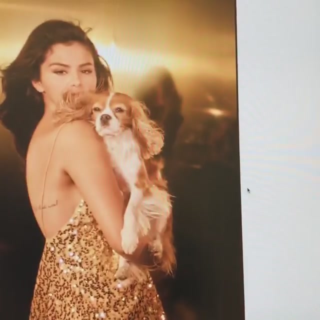 PANTENE_2019_Screen_Captures-13.jpg