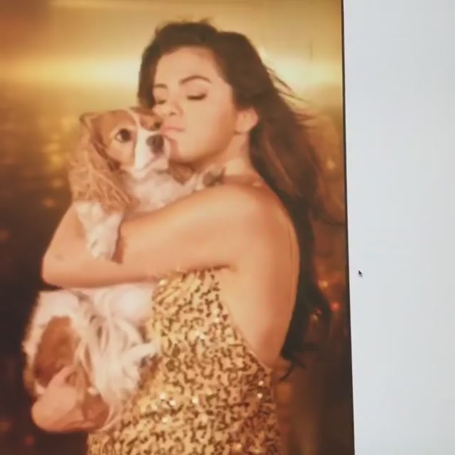 PANTENE_2019_Screen_Captures-14.jpg