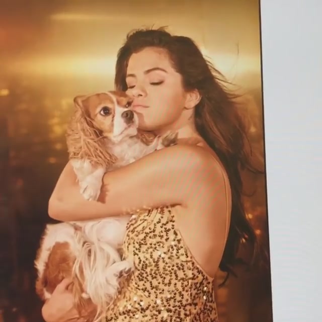 PANTENE_2019_Screen_Captures-16.jpg