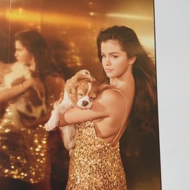 PANTENE_2019_Screen_Captures-18.jpg