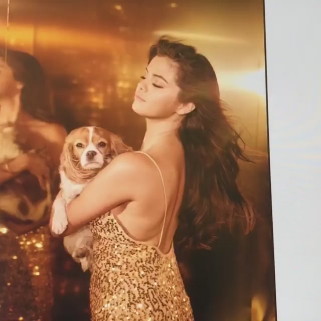 PANTENE_2019_Screen_Captures-19.jpg