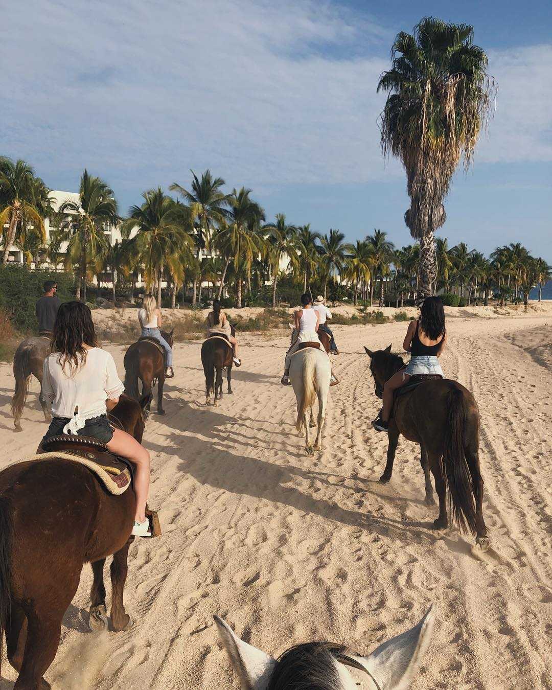 Vacationing_in_Cabo2C_Mexico_-_February_9-11-01.jpg