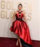 81st_Golden_Globe_Awards_-_Arrivals20.jpg