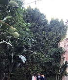 At_A_Wedding_In_Los_Angeles2C_CA_-_February_21-03.jpg