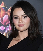 Selena_Gomez_-_The_French_American_Film_Festival_premiere_of__Emilia_Perez__in_Los_Angeles_October_292C_2024_15.jpg