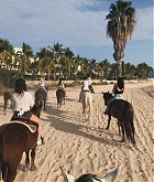 Vacationing_in_Cabo2C_Mexico_-_February_9-11-01.jpg