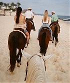 Vacationing_in_Cabo2C_Mexico_-_February_9-11-14.jpg