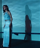 Wolves_MV-141.jpg
