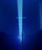 Wolves_MV-66.jpg